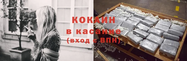 стафф Медногорск