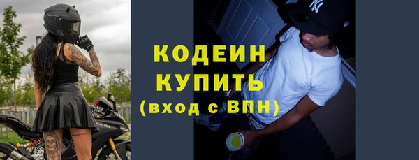 шишки Алагир