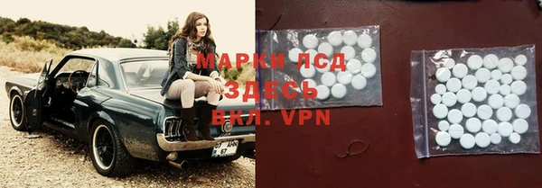 стафф Медногорск