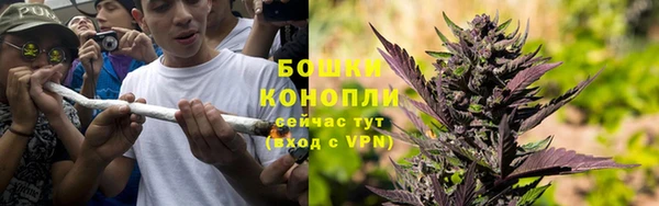стафф Медногорск