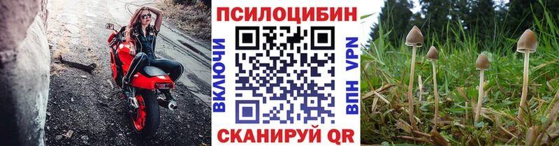 Псилоцибиновые грибы мицелий hydra зеркало Ессентуки