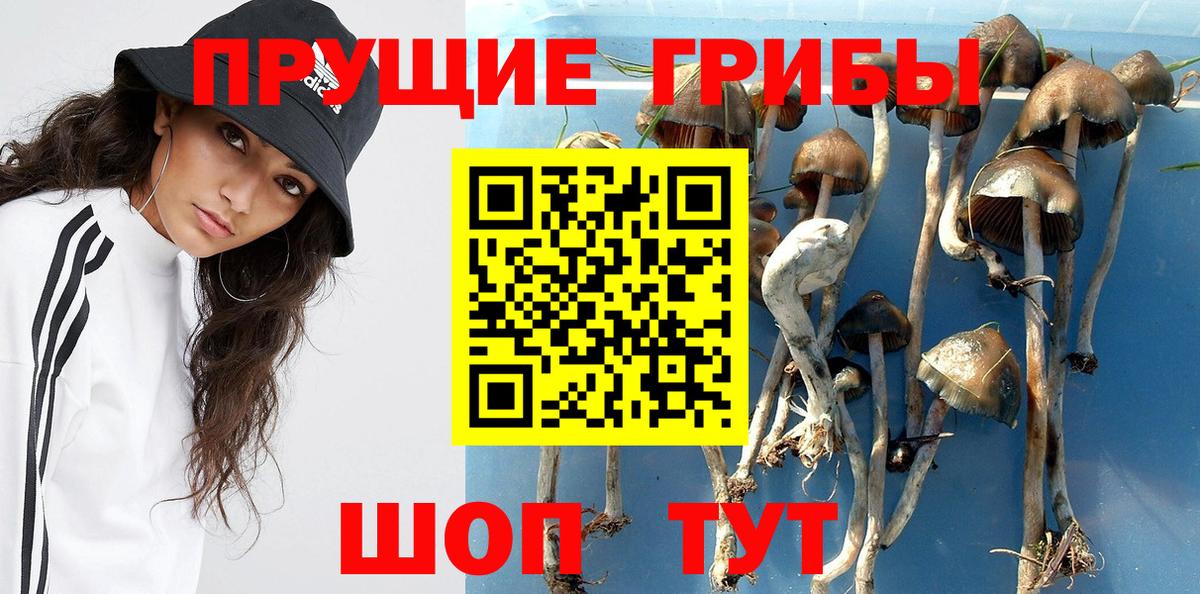 Галлюциногенные грибы MAGIC MUSHROOMS  Вход с VPN  Ессентуки 